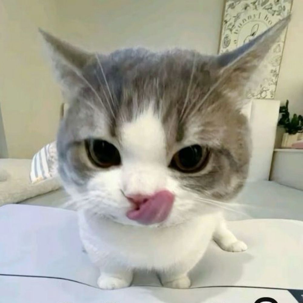 R3mmmo