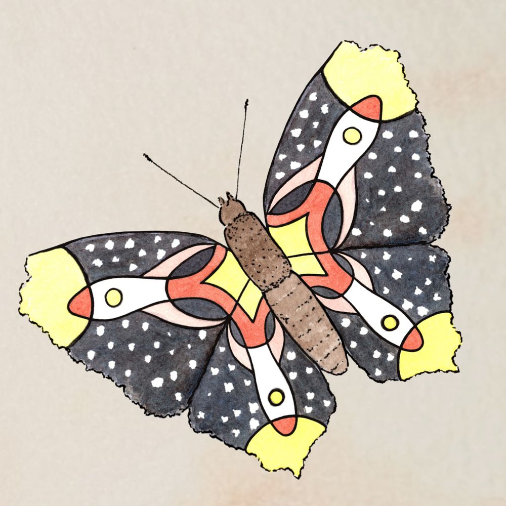 Butterfly Rocket Studios