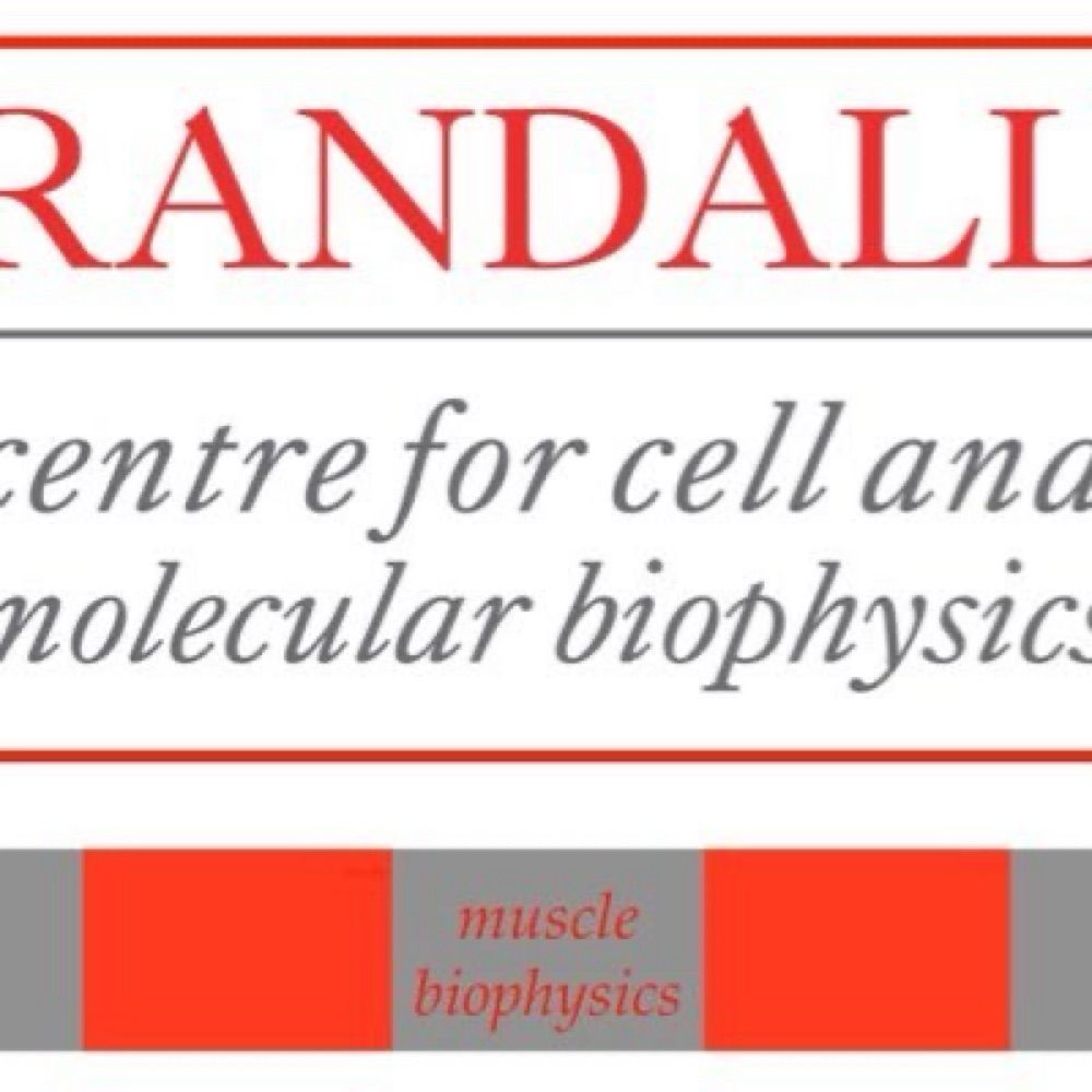 Randall Muscle Biophysics