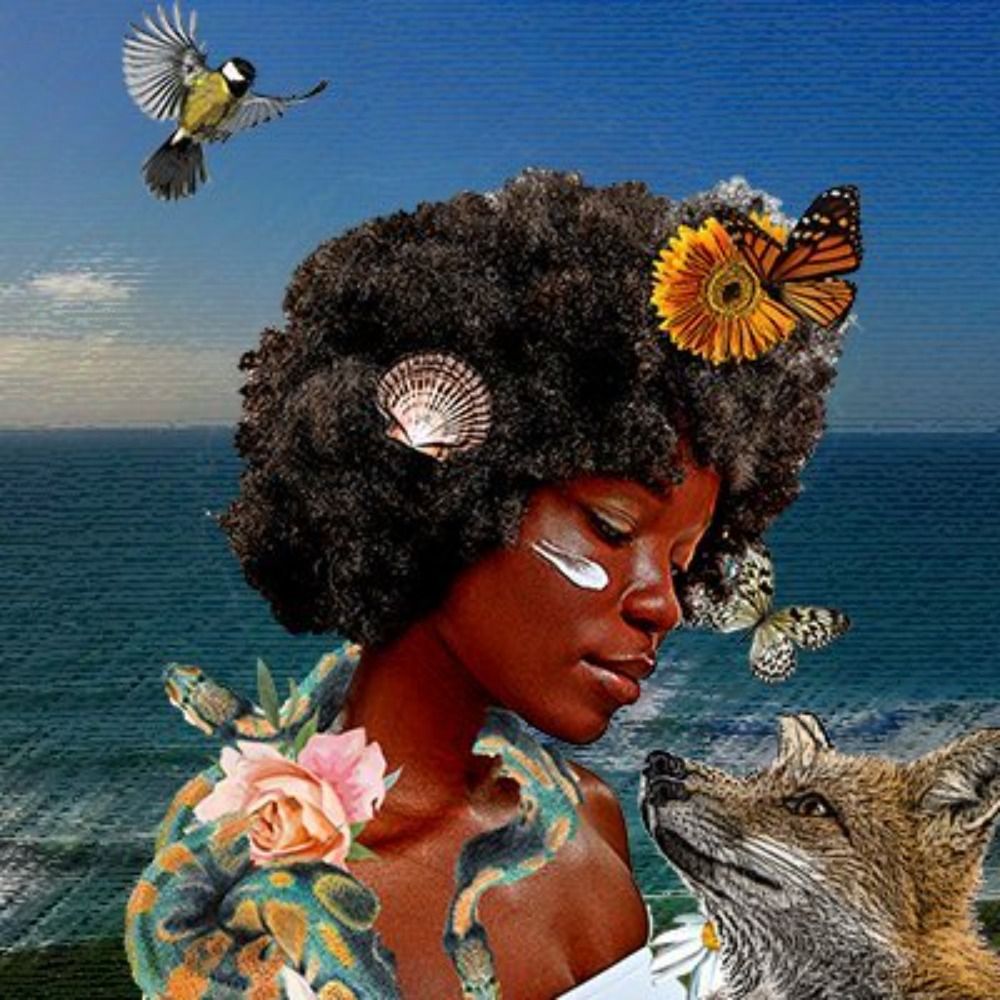 Black in Natural History Museums