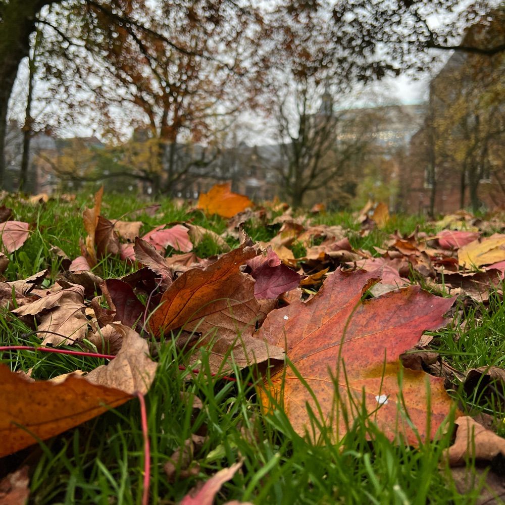 Suhailaphotography