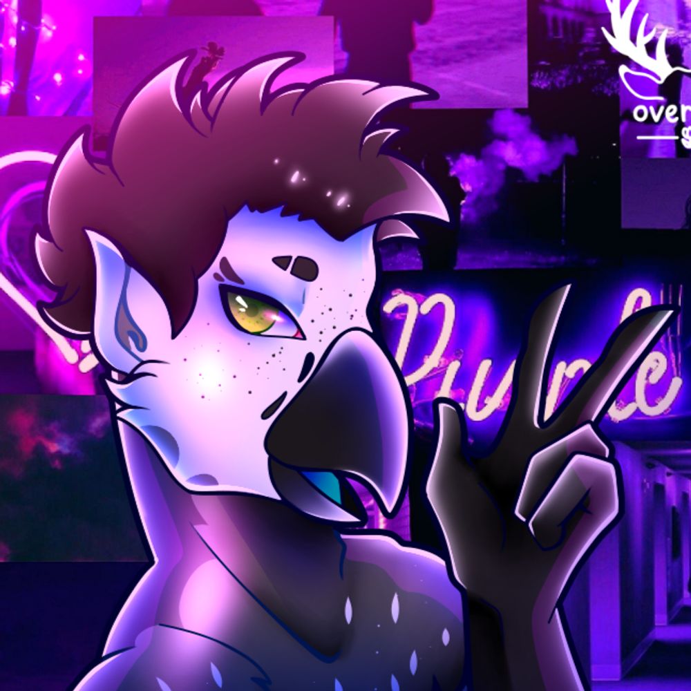 🔞🪶BirbAfterDark🪶🔞