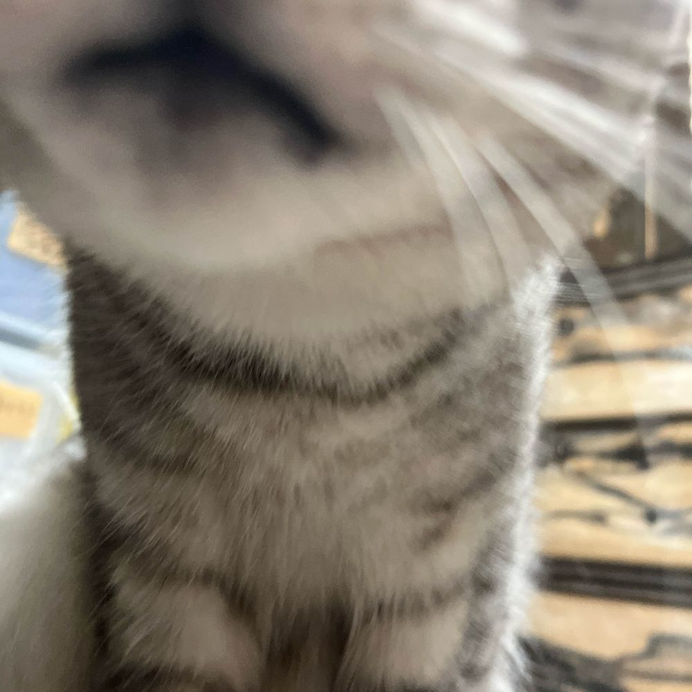 もすけ