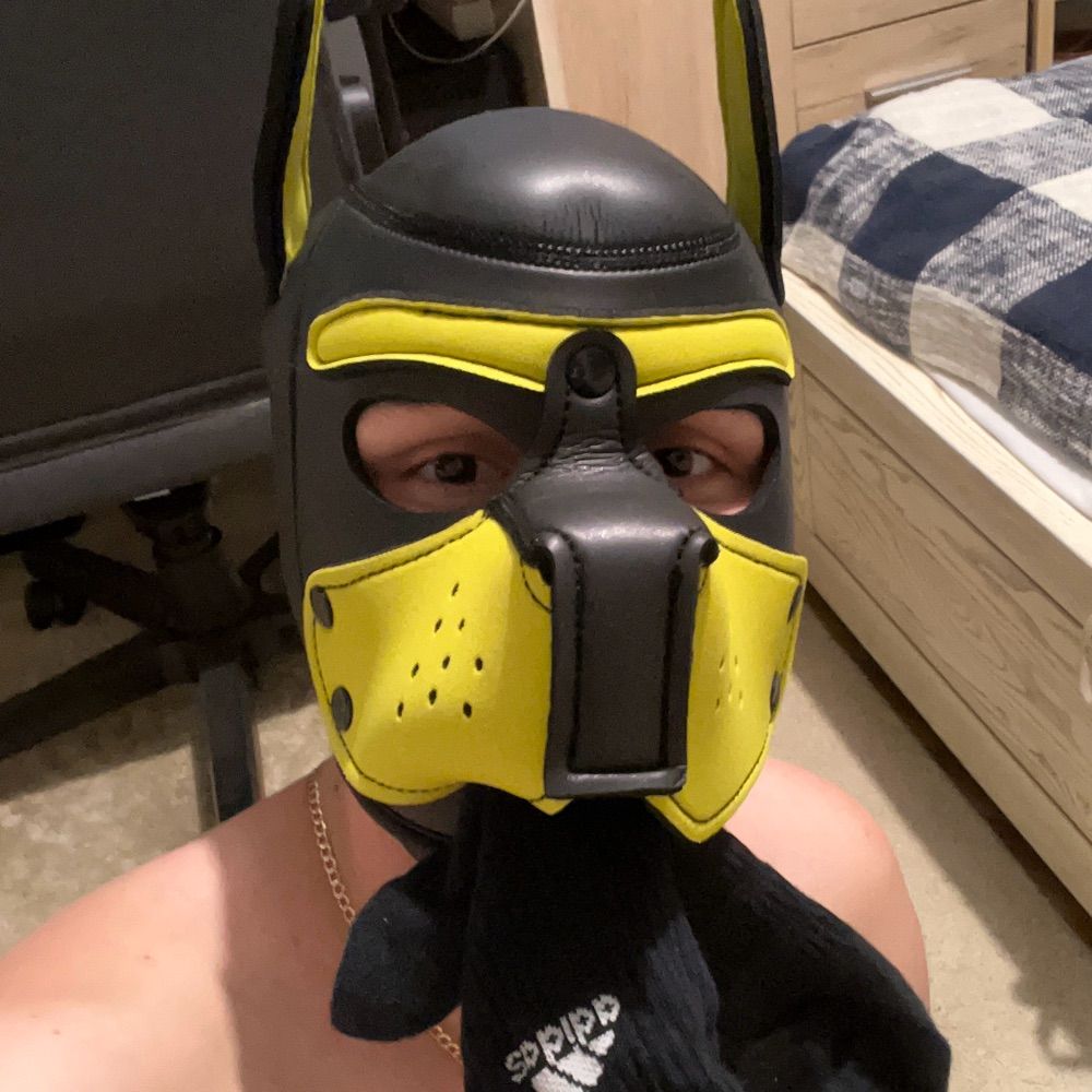 Pup Chomp