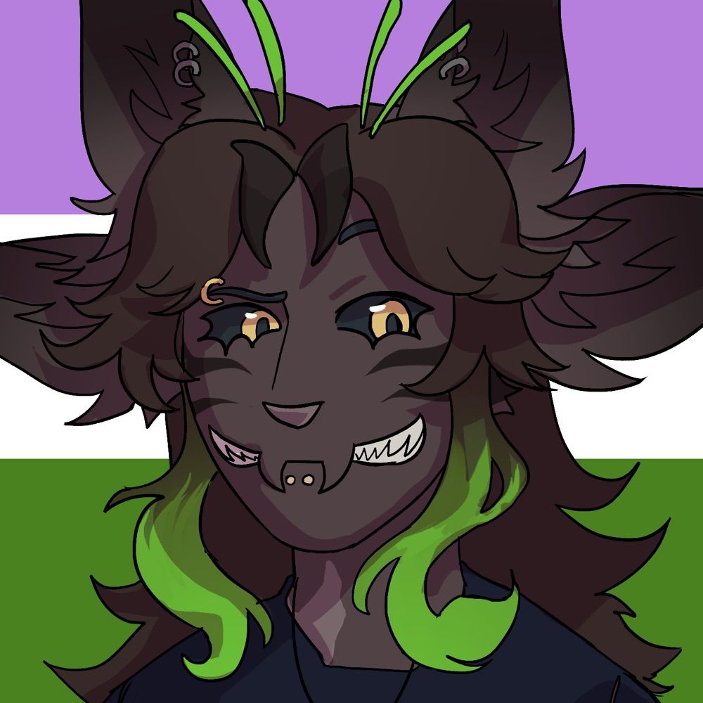 Juniper!