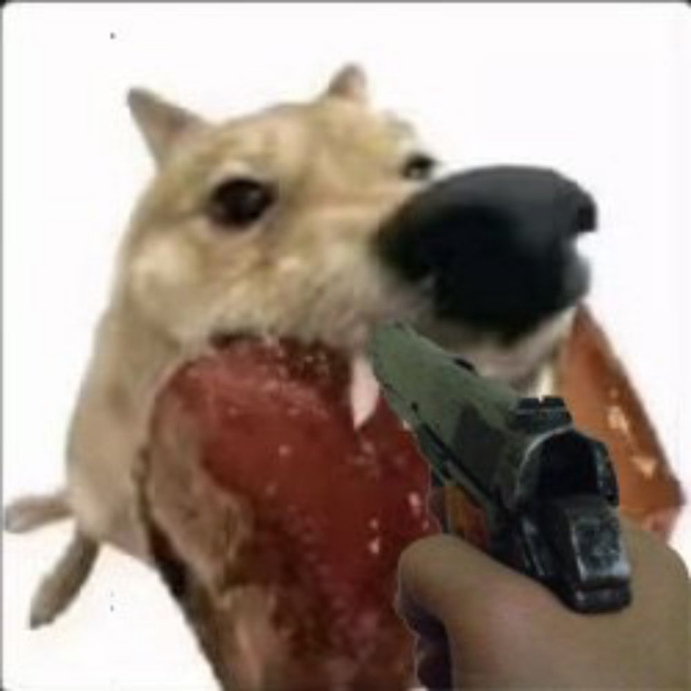 _m0cha53