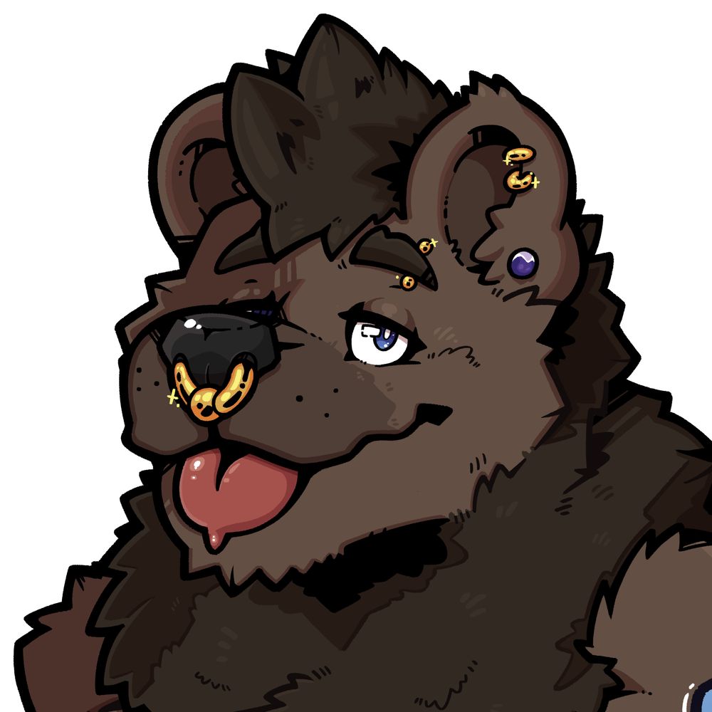 🐻Koba