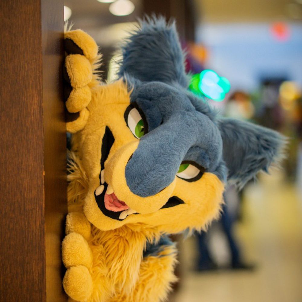 Muddy 🔜 Howl, MFF
