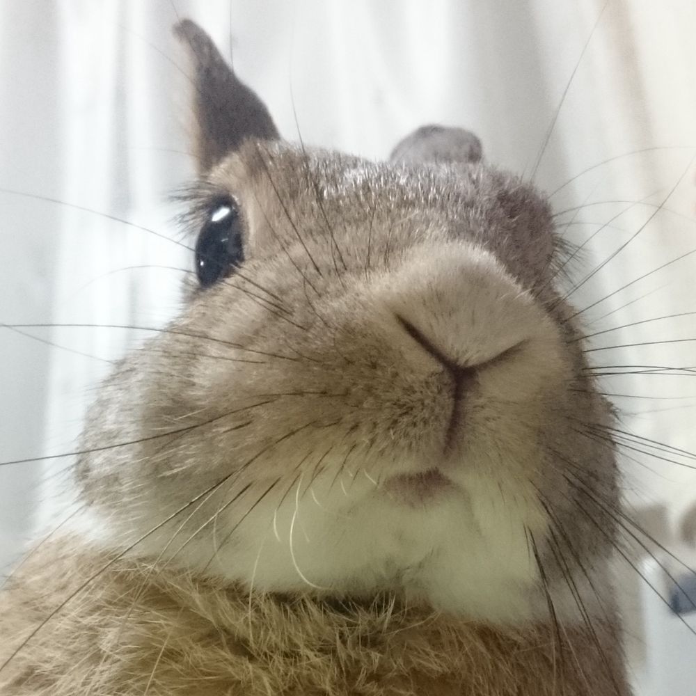 あとりん