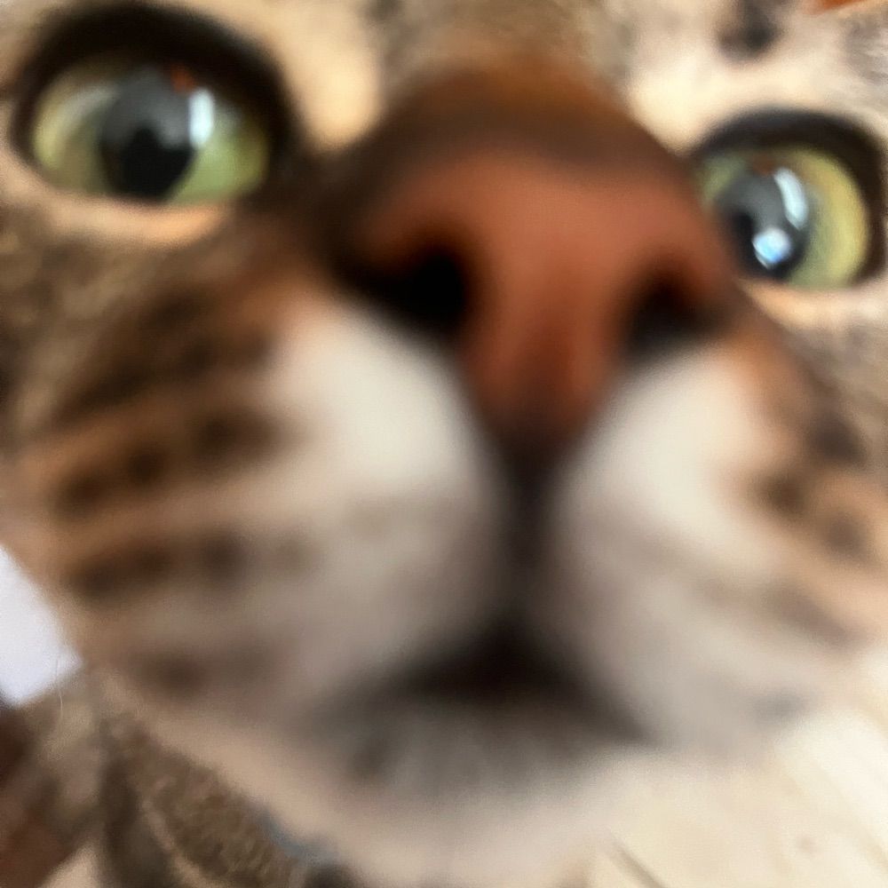 Caetana
