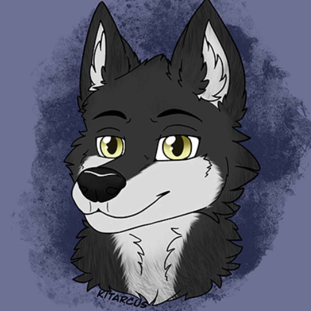 shutterwolf.net profile picture