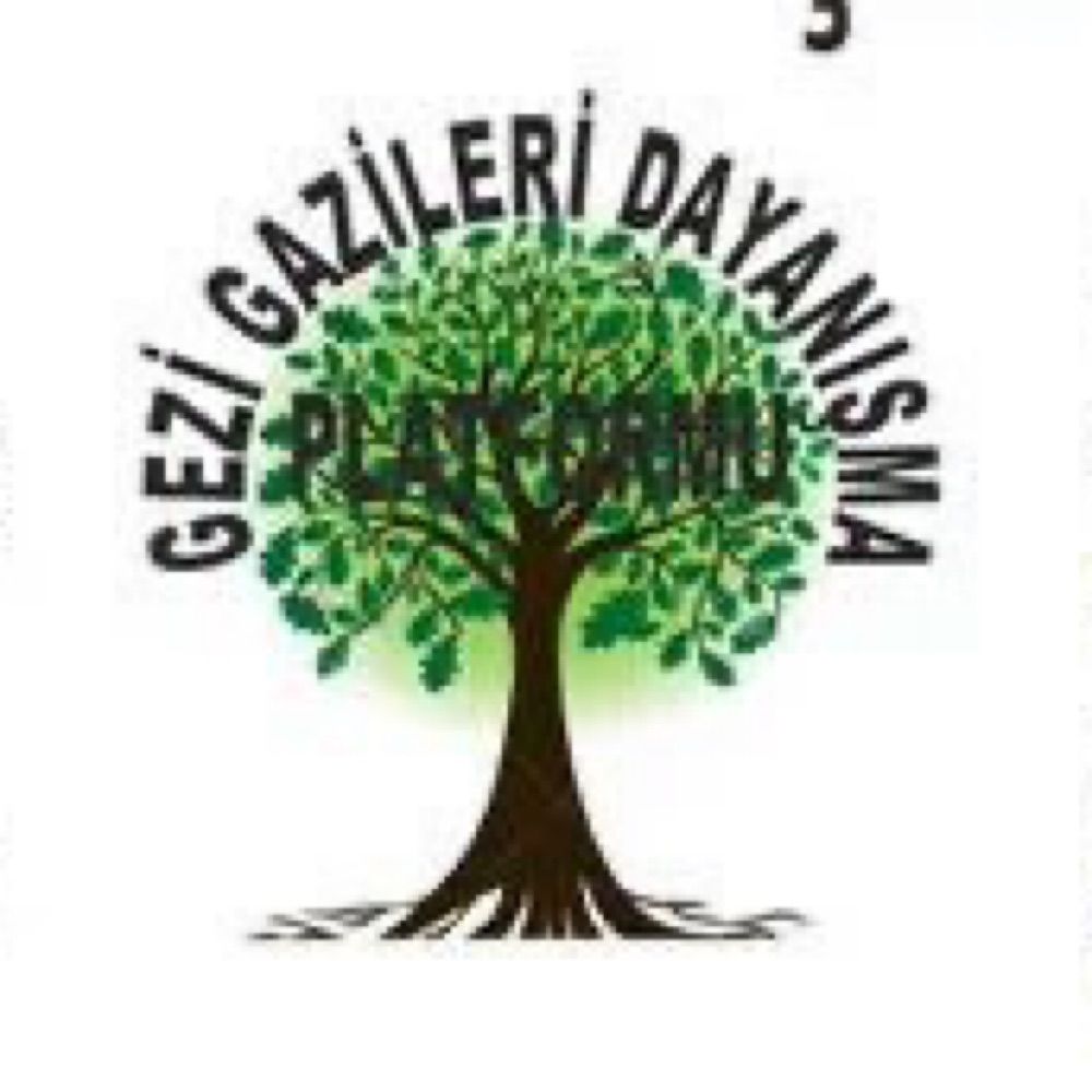 Gezi Gazileri Dayanışma Platformu