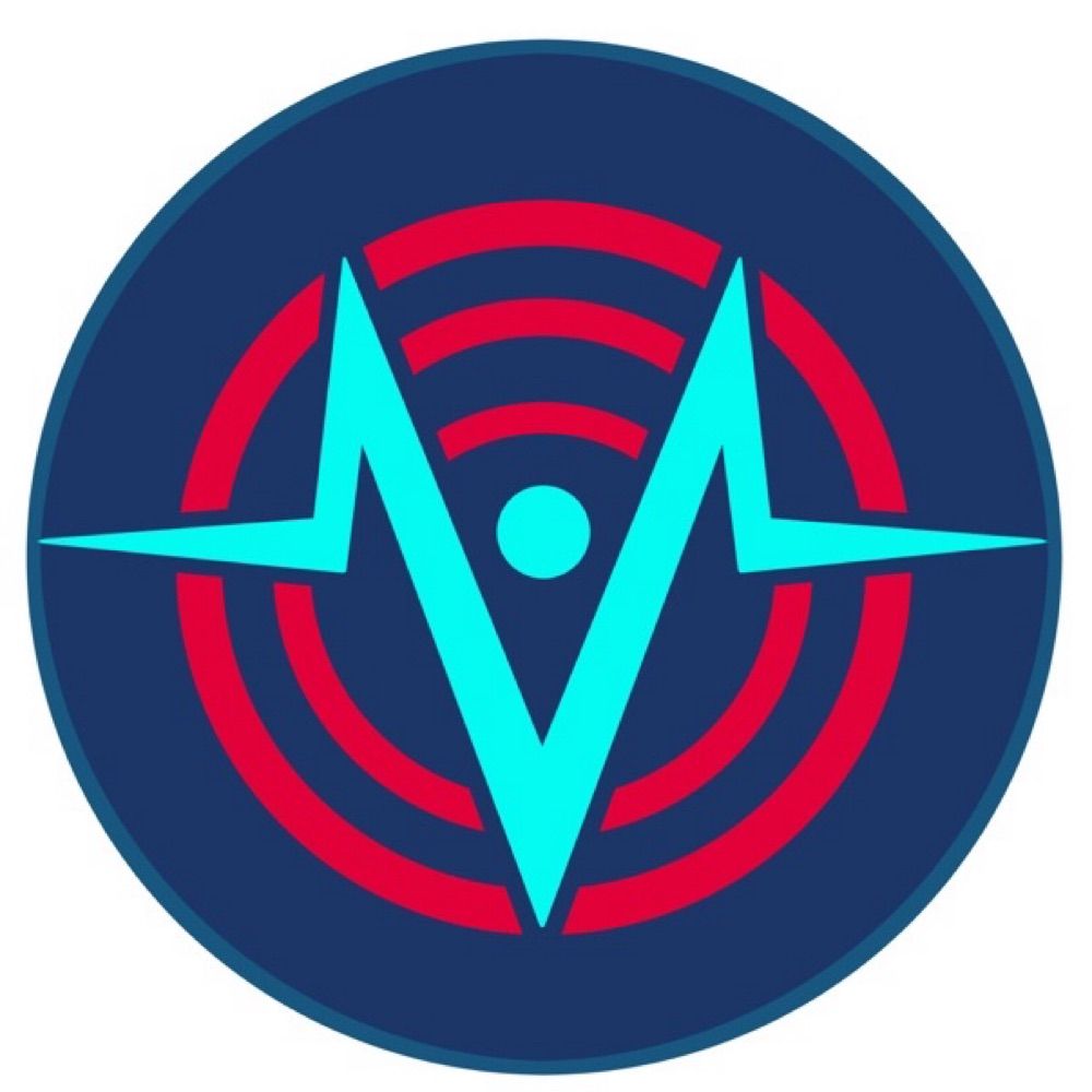 ゼブラV
