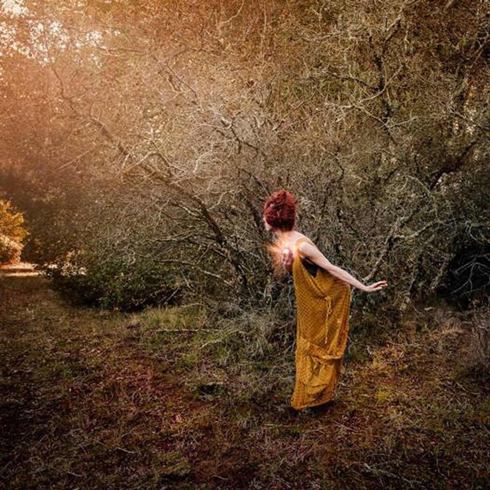 Leigh Donlan
