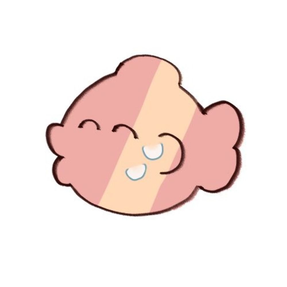 비디부