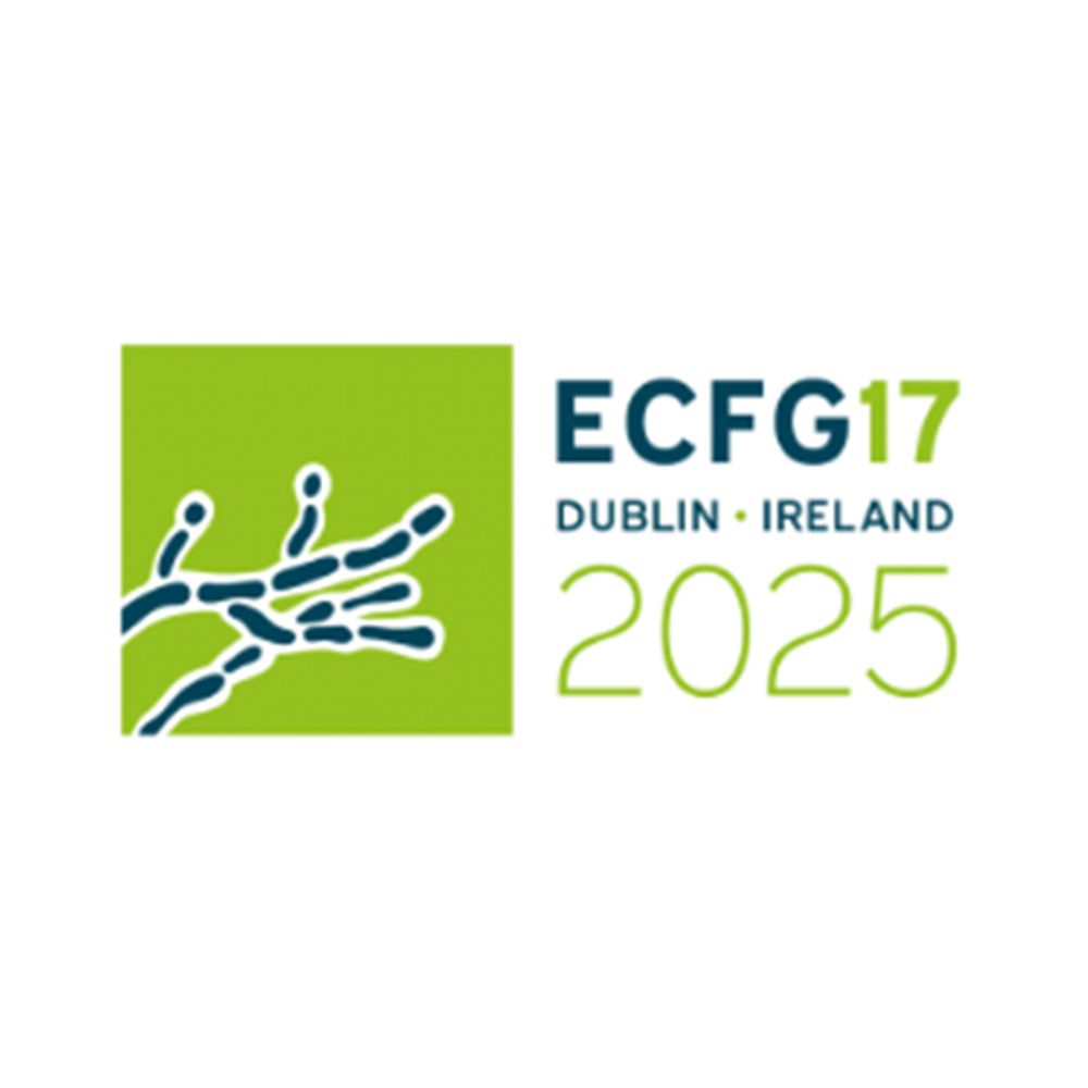 ECFG 17 2025