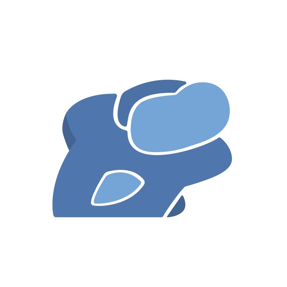 VirtualWhale