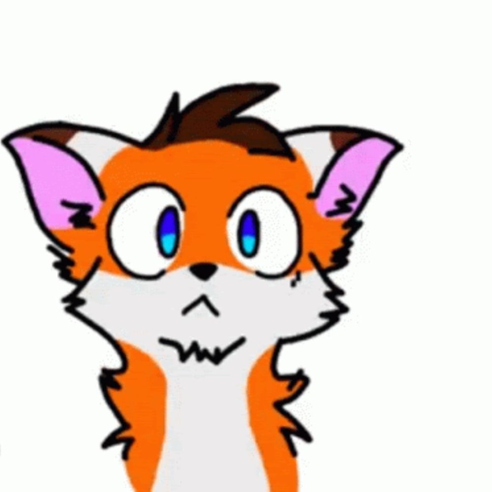 dashen the fox