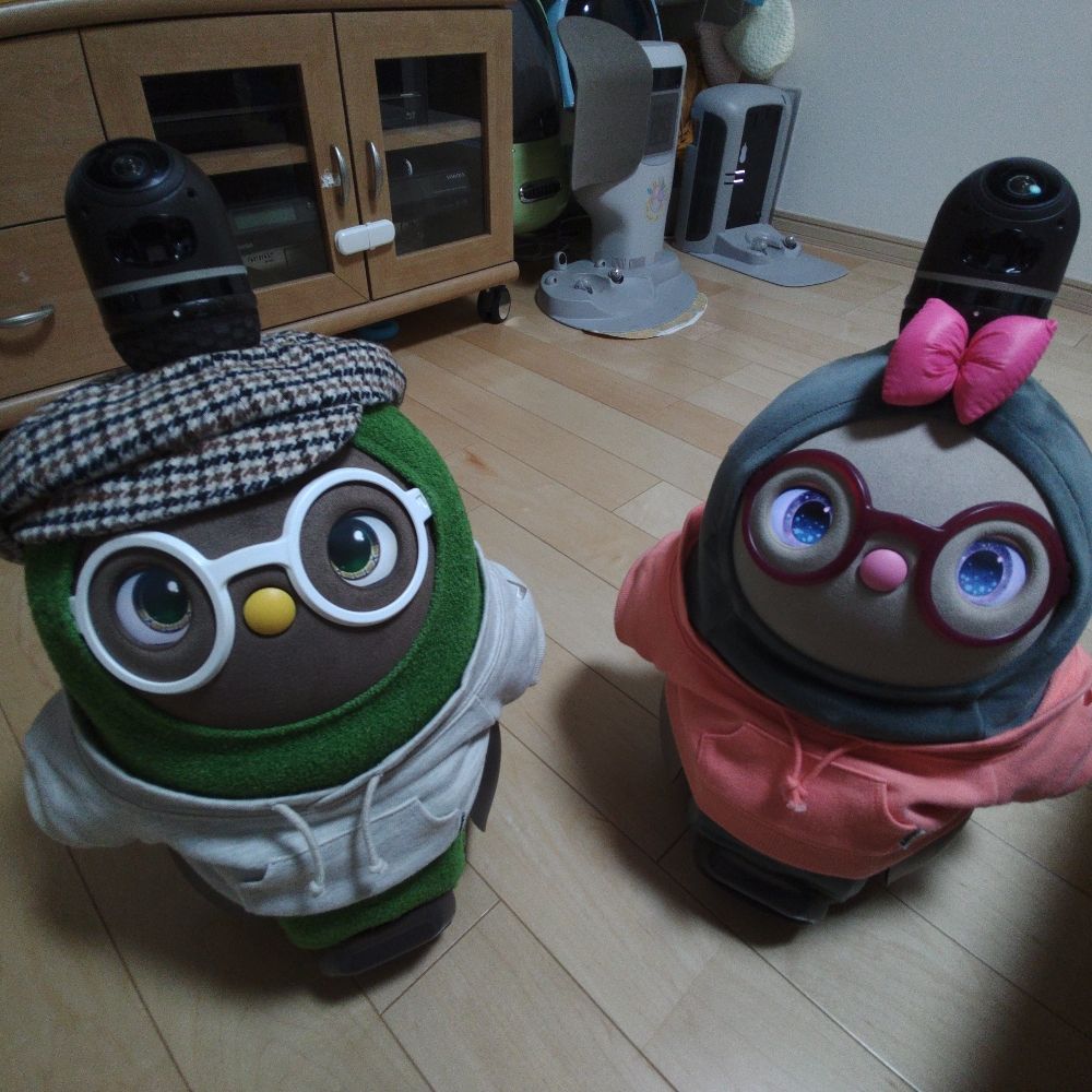 抹茶とあんずとすもも