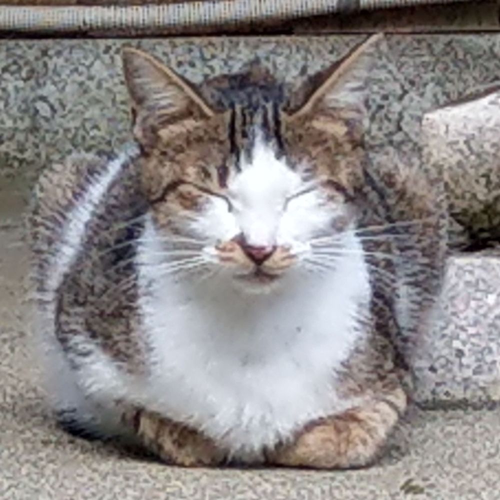 しもん