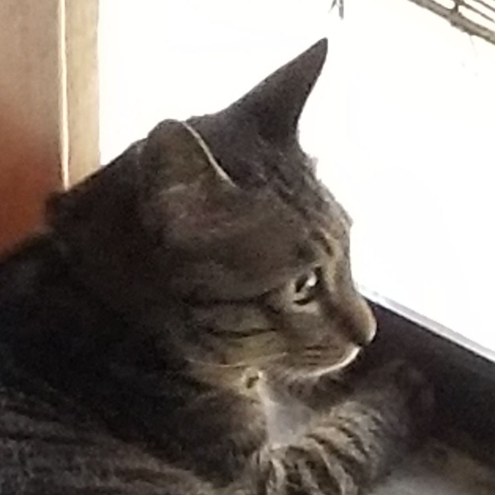 はっ