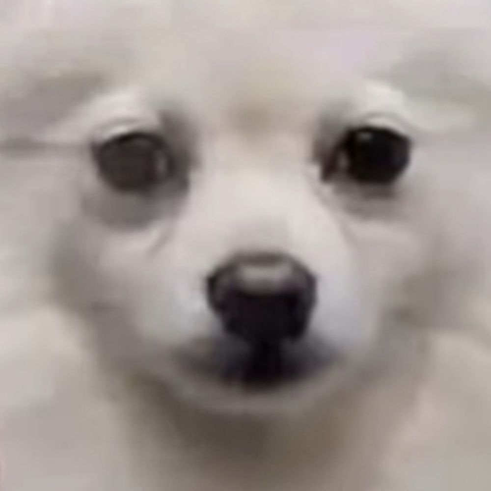 Kogetos👁️