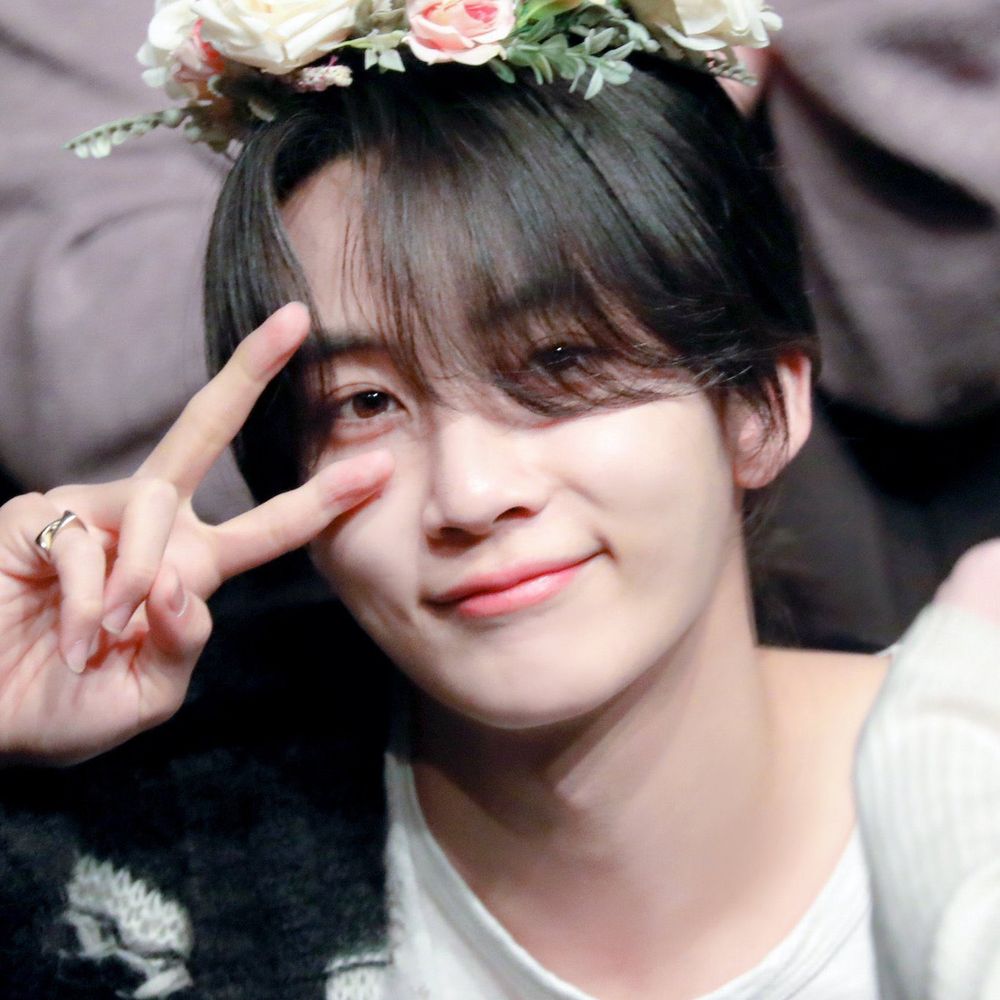 Cutiedeul