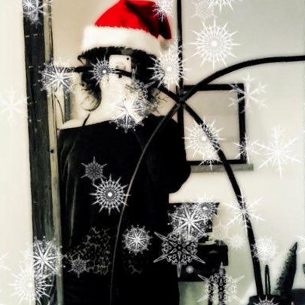 ornamentalseashell.bsky.social