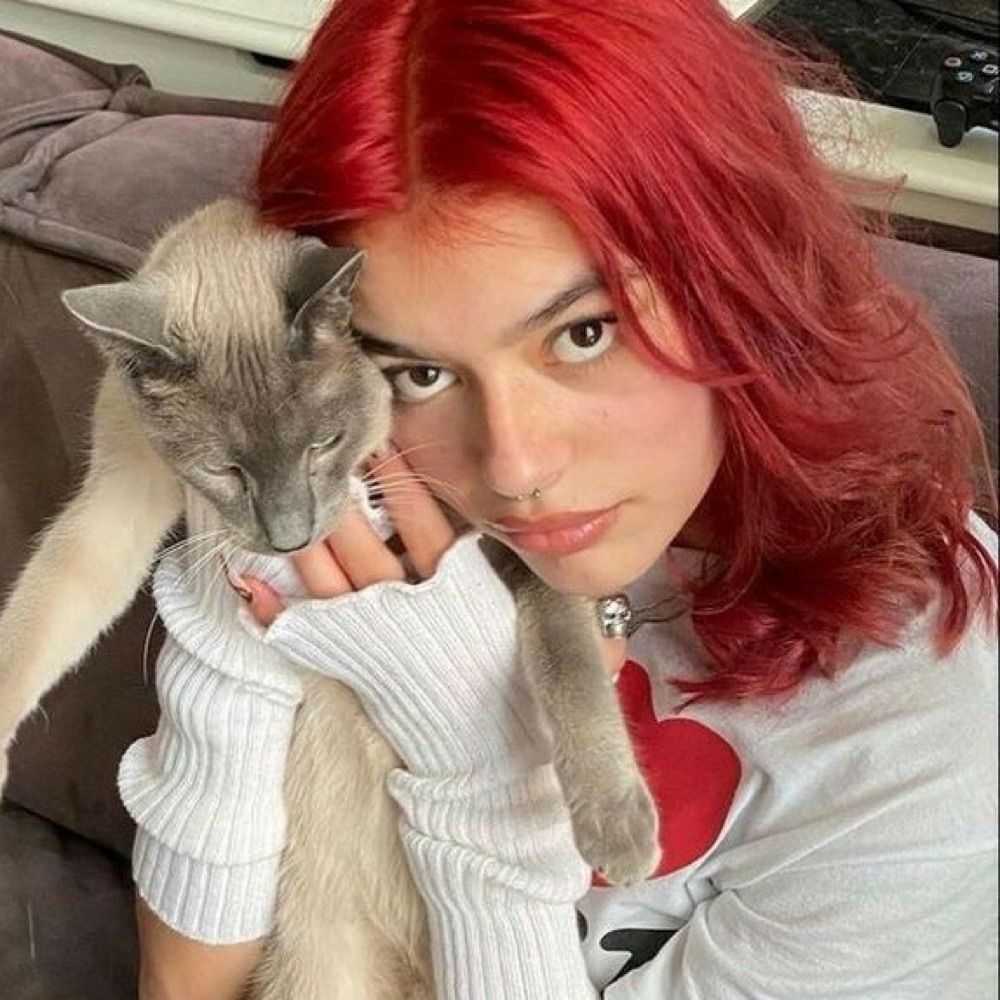 clara 🎪