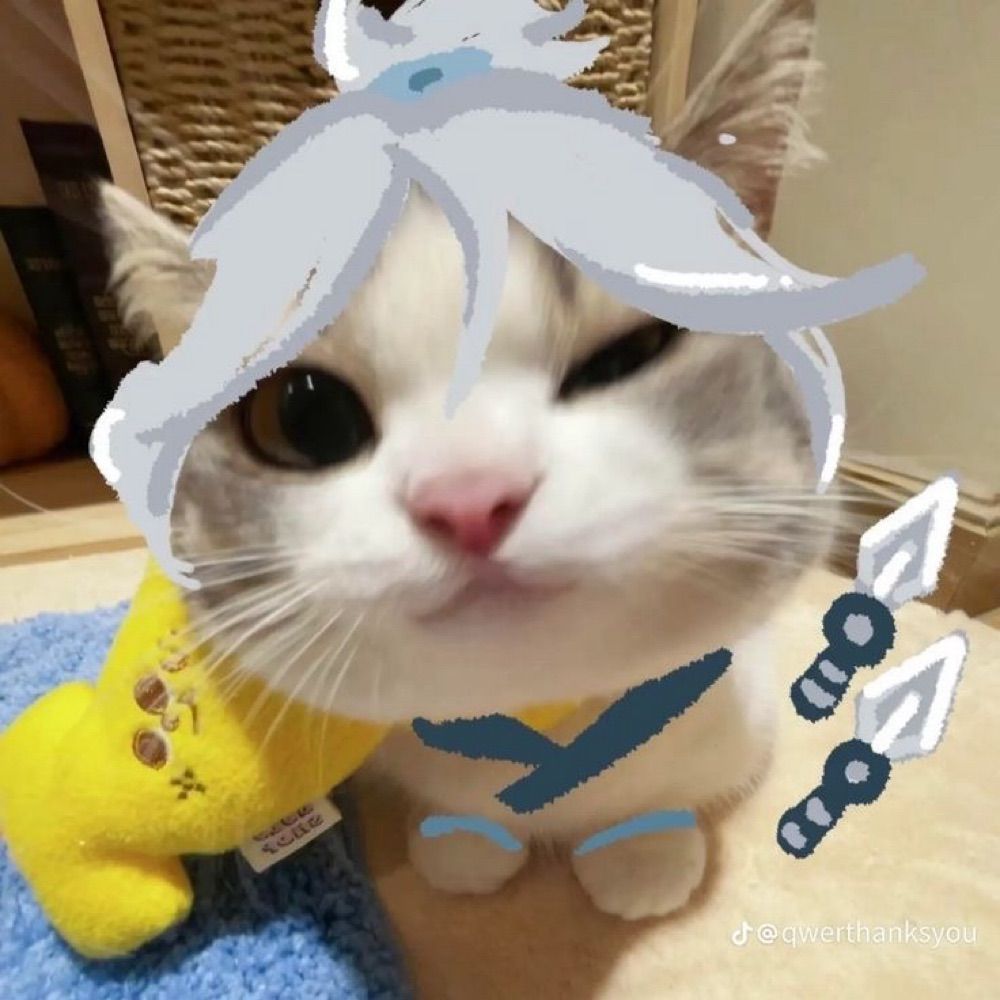 moqii