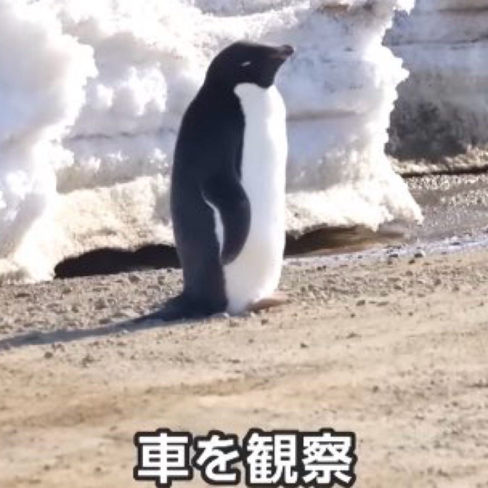 なかちゃん