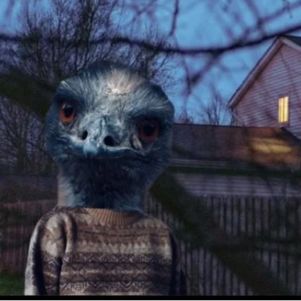 Midwest Emu