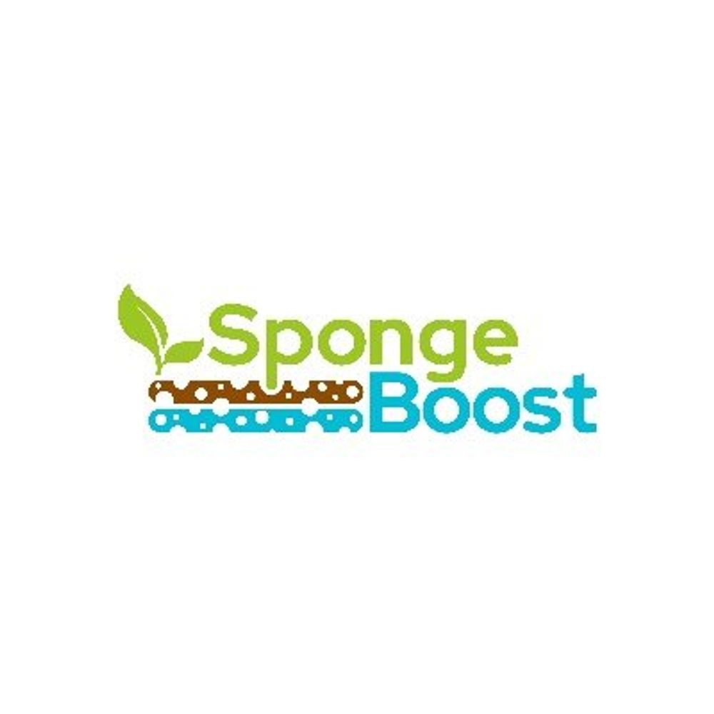 SpongeBoost Project