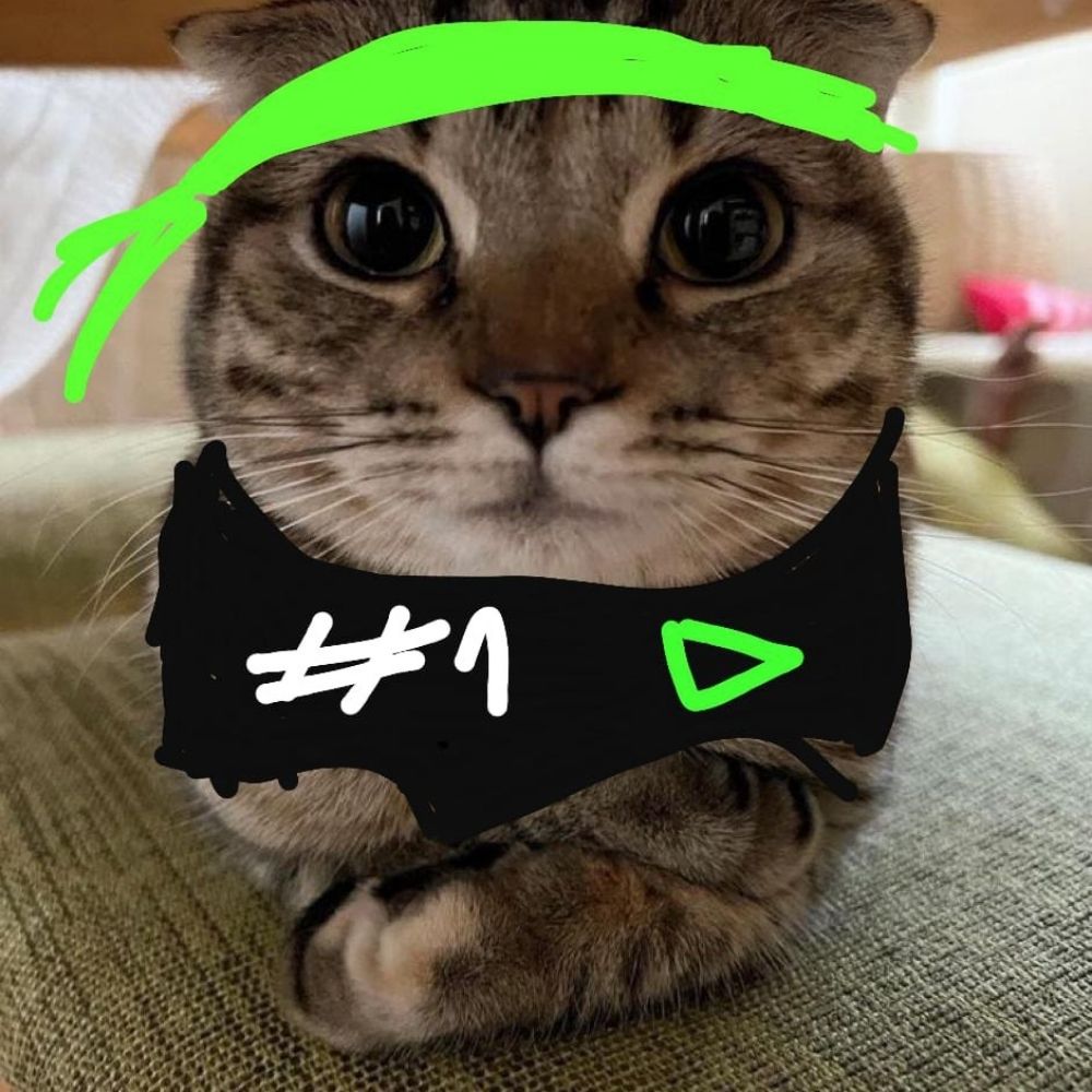 User avatar