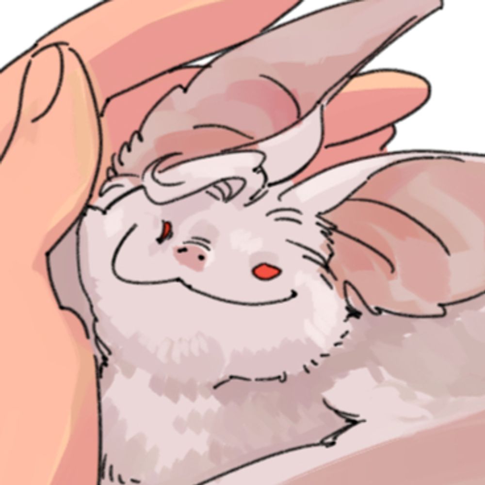 🦝