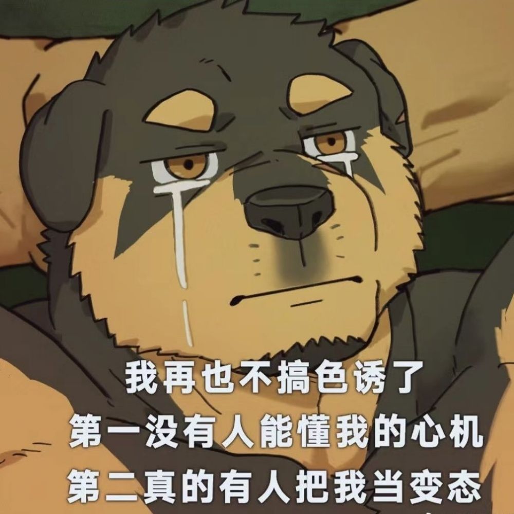 滥宾里尬