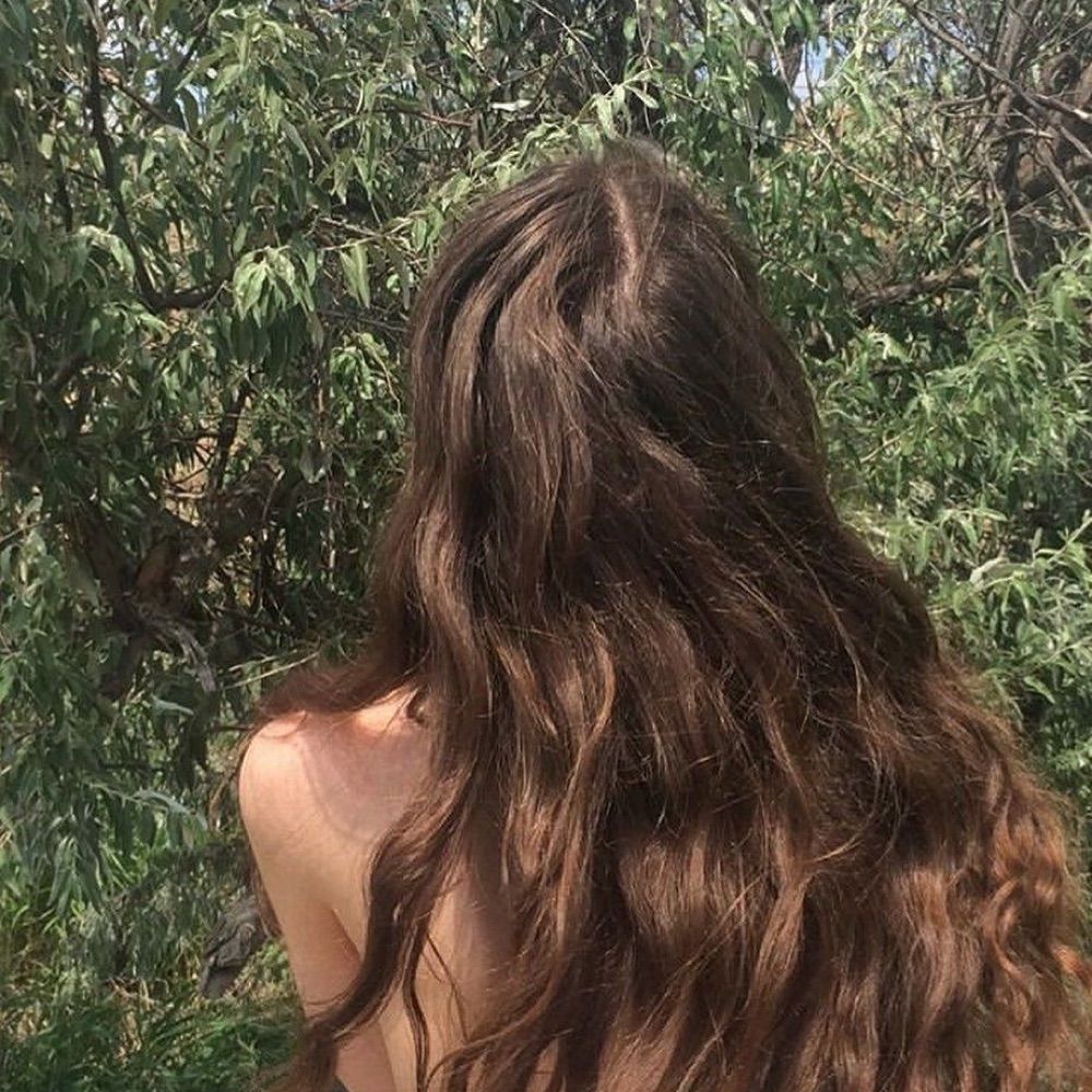 Lexa 🌲