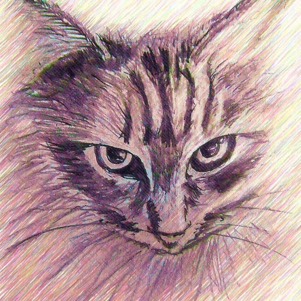 のりまさ