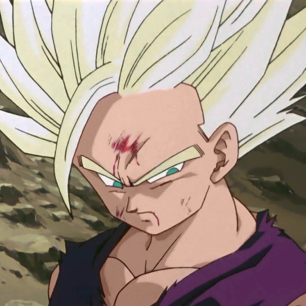 Dragon Ball Clips