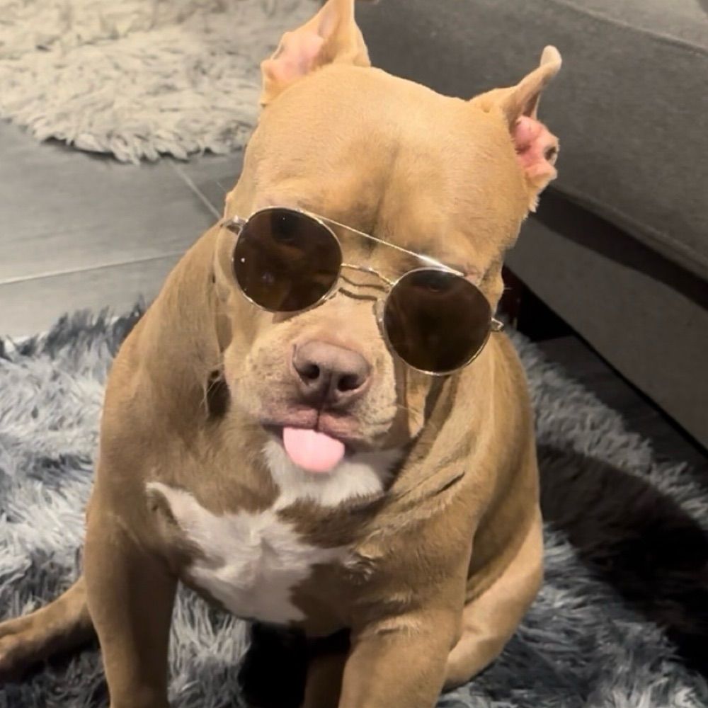 Tonka