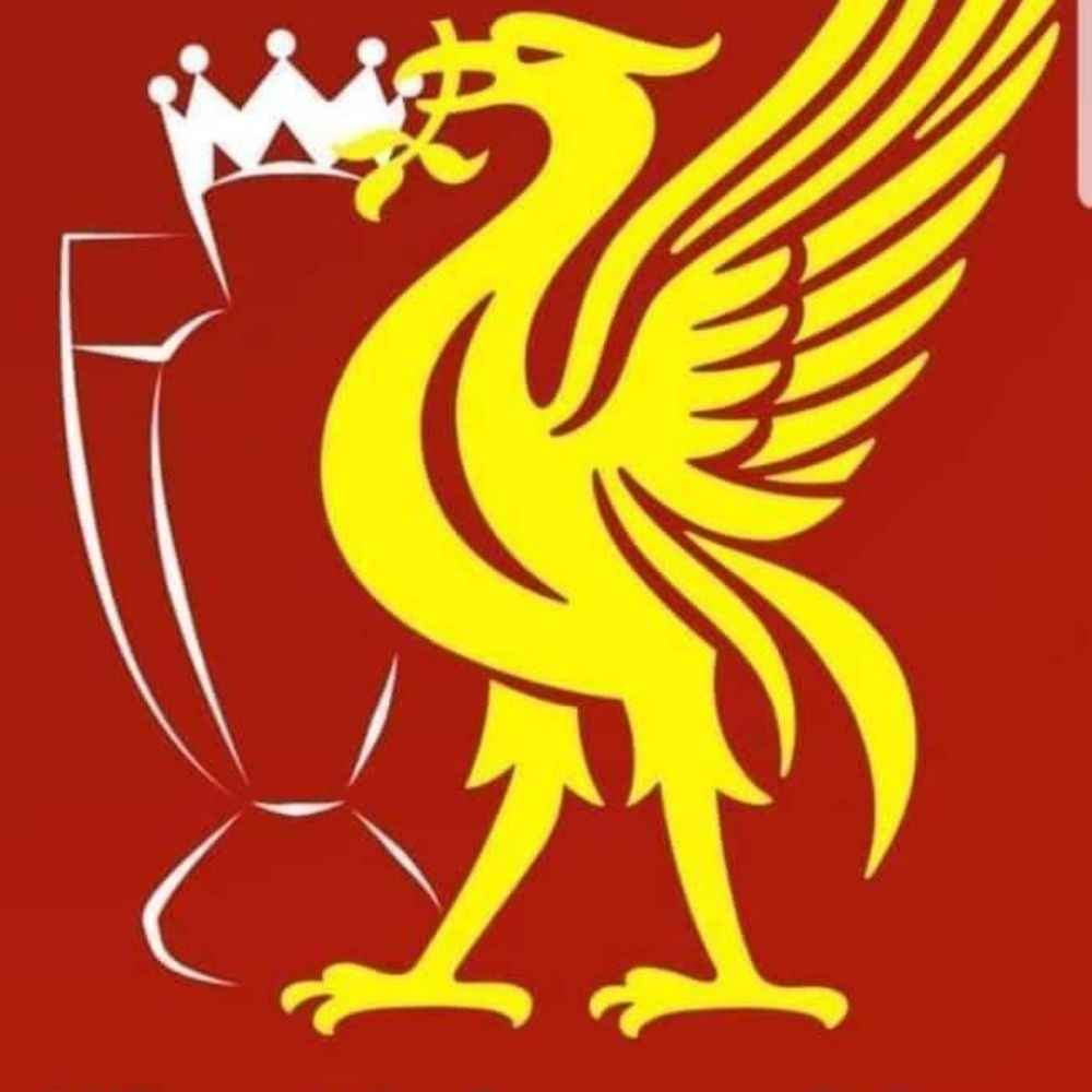 Damo the Scouser