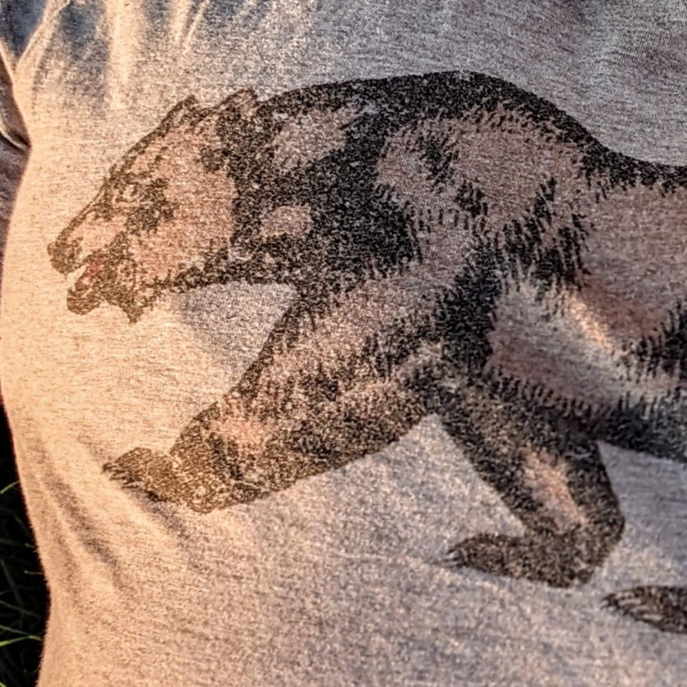 Bears are friends not foes
