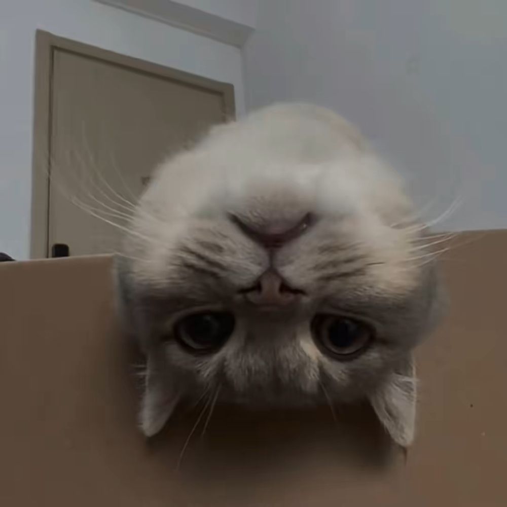 糊涂