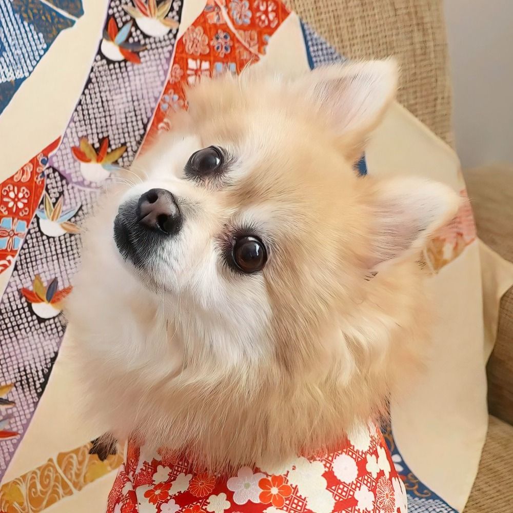 れっしー