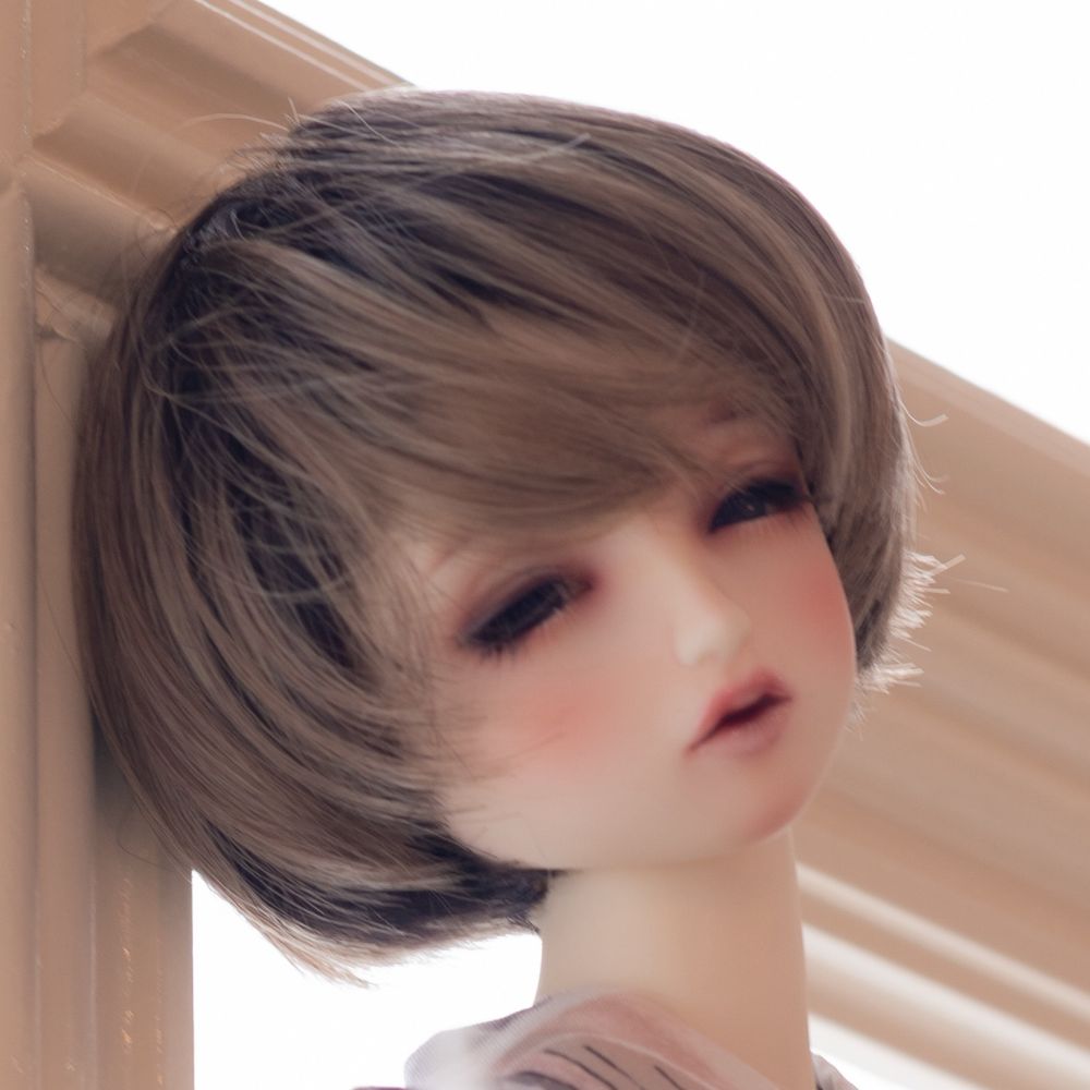 ｻﾊﾞﾉﾐｯｽﾞｰﾆ