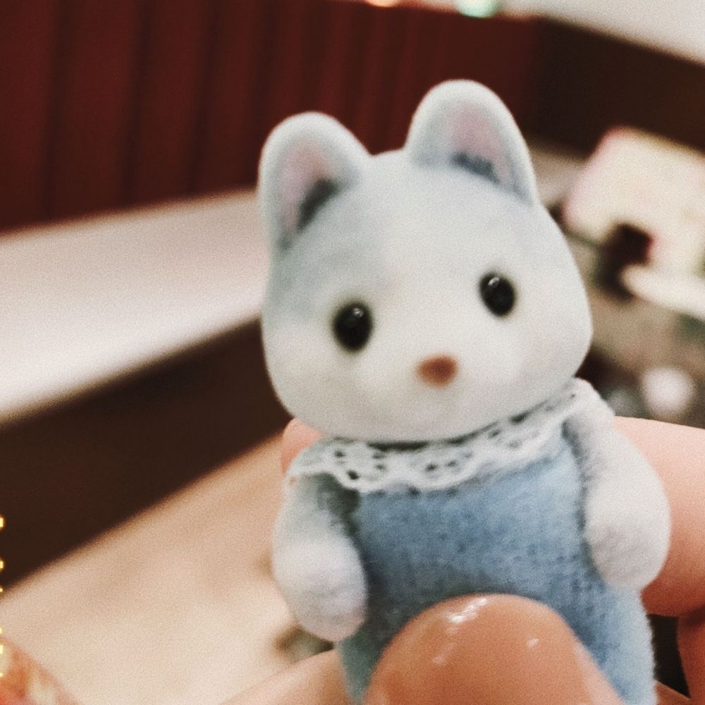 ふたつき