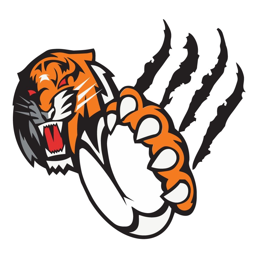 Torfaen Tigers (Wheelchair)