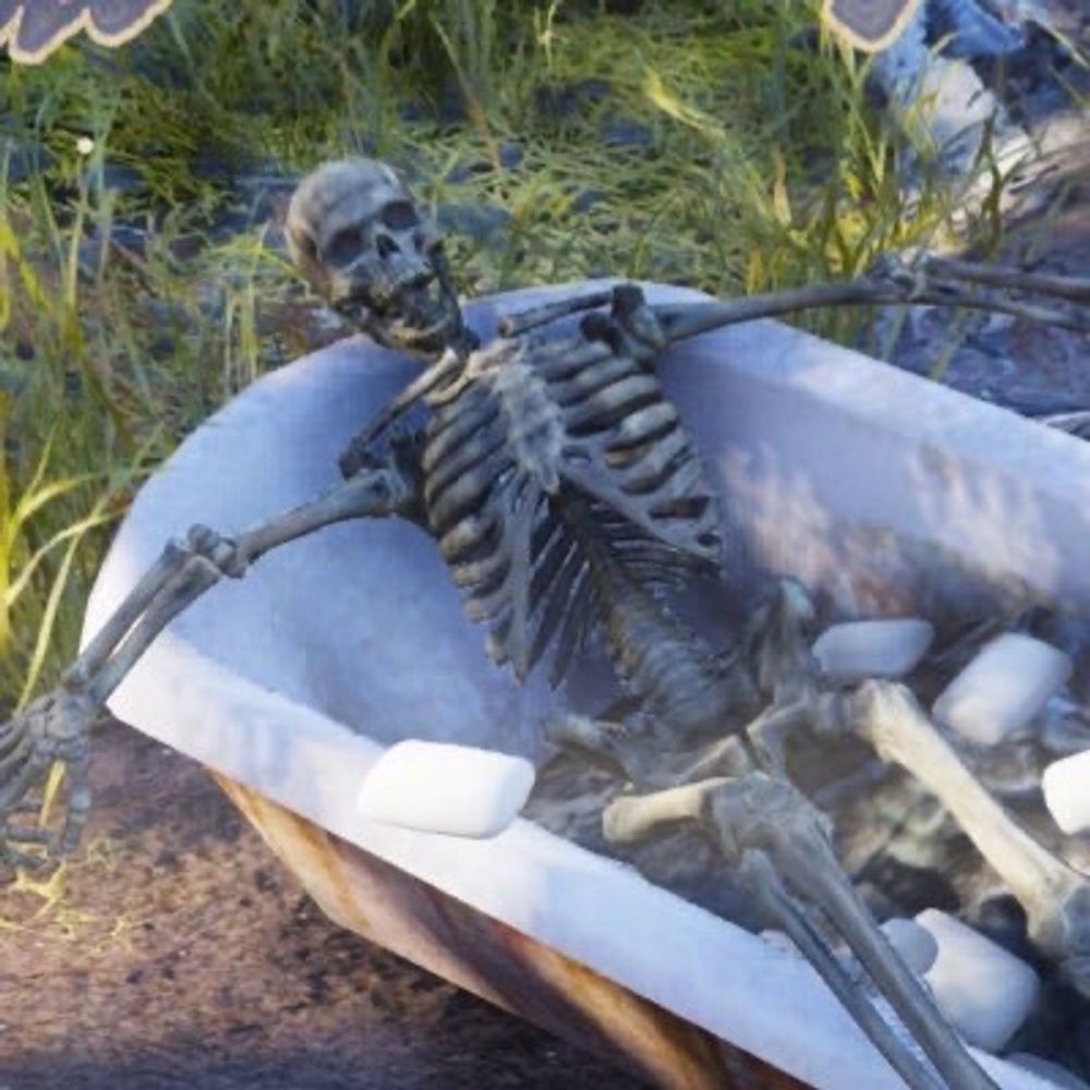 Skeleton