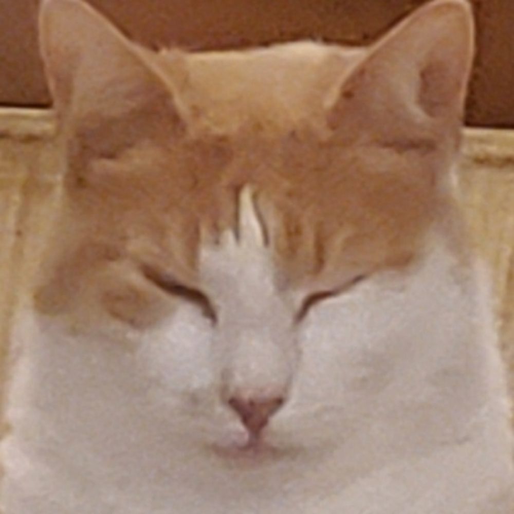 Max Xam Max Xam
