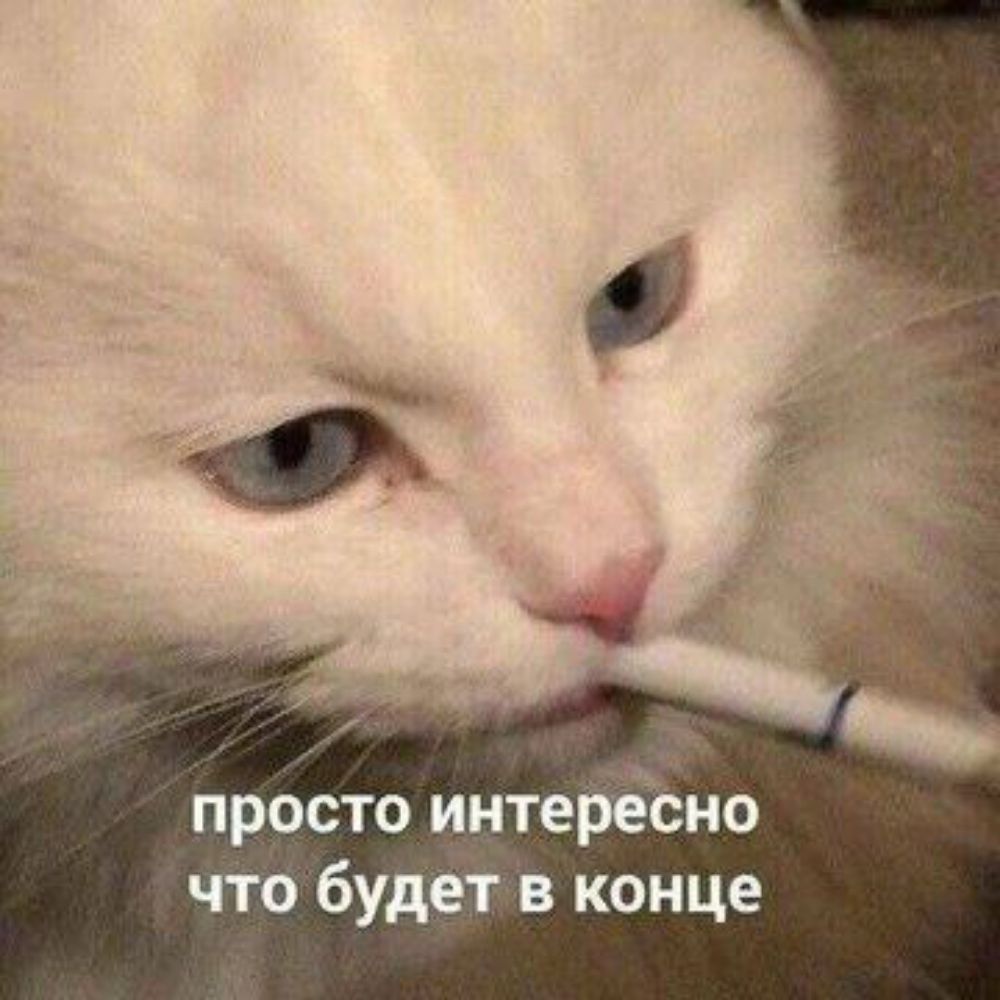 Хныкало